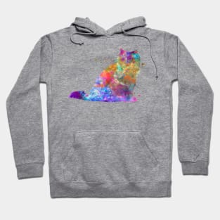 Himalayan cat in watercolor Hoodie